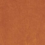 HOLDEN COAT | TAN